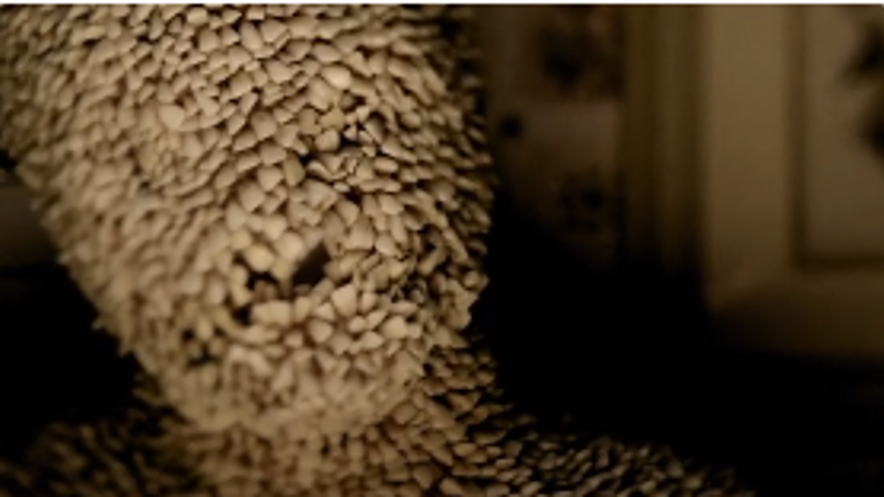 SYFY_CHANNEL ZERO_TEASE